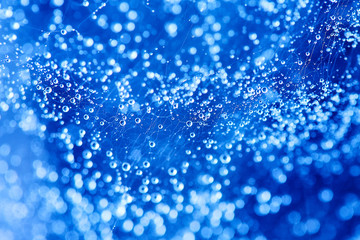 Abstract blue bokeh texture background. Drop on spider web