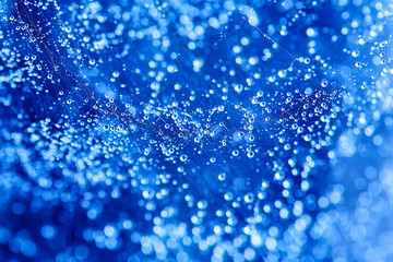 Abstract blue bokeh texture background. Drop on spider web