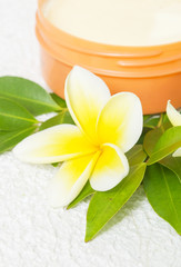Natural cosmetic product - the best come from nature