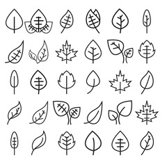 set of leaf line icon