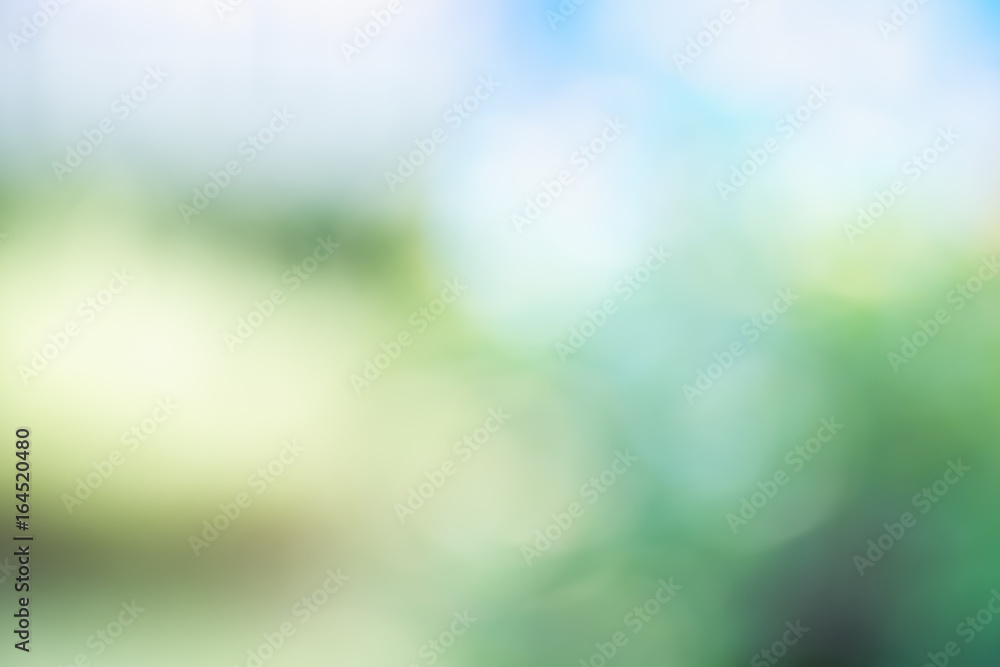 Aufkleber blur background of green tree with sky bokeh nature light