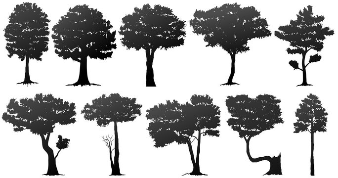set of tree silhouette
