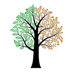 Fototapeta na wymiar green and brown leaf on tree