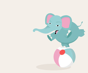 elephant on ball