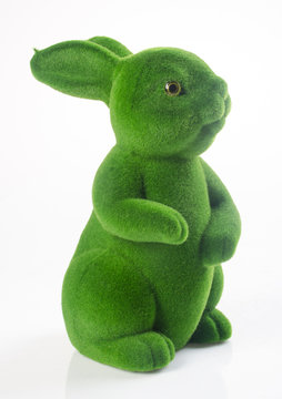 rabbit or green rabbit on a background.