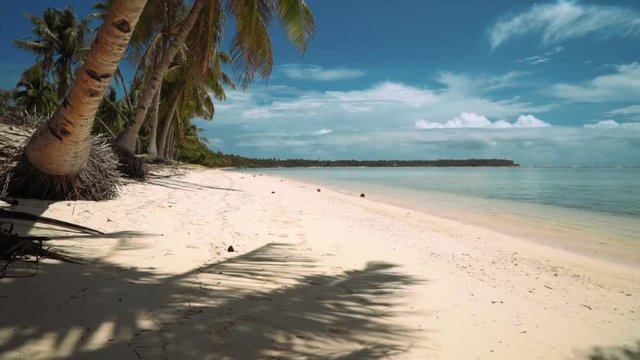 White sand beach on tropical island, slide from palm tree roots, Siargao Island, Philippines