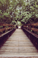 Obraz premium Wooden Bridge Lines