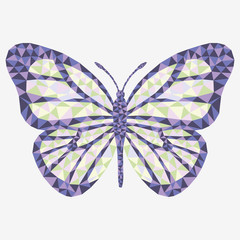 Vector isolated butterfly.