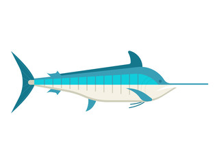 Blue marlin fish vector illustration. Ocean swordfish isolated on white background.