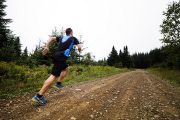 Fototapeta premium Jogger Training in Forest early in the Morning.
