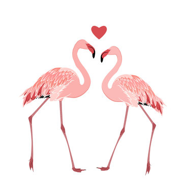 Pink flamingos couple standing beak to beak. Heart shape love feelings symbol element. Exotic tropical wading birds isolated on white background. Vector design illustration.