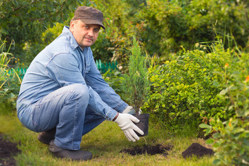 men planting the tree in the garden summer day