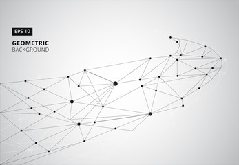 Obraz premium Black and White geometric graphic background. Perspective backdrop. Digital data visualization. Scientific cybernetic vector