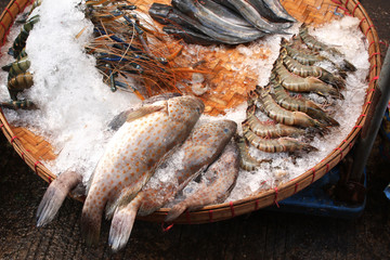 Freshly caught fish and srimp in a fish market, Myanmar (Burma)
