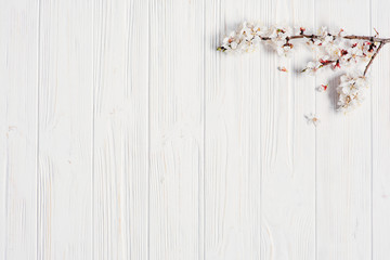 Spring white flowers on vintage wooden background