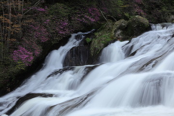 Fototapeta premium 竜頭の滝