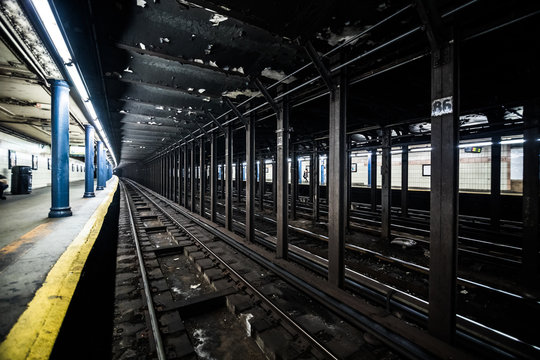 Underground Empty Subway Station Dock in New York City on line tree.