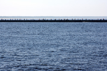 Many anglers are standing on a mole in the Baltic Sea in Bolderāja Riga and catch fish