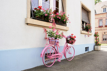 Fototapeta na wymiar An old pink bicycle as a flower stand at the house wall