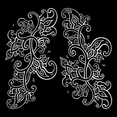 Paisley Ethnic ornament.