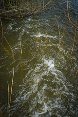 Running Water in the River