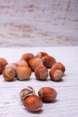 Hazelnuts on white wooden background in studio photo