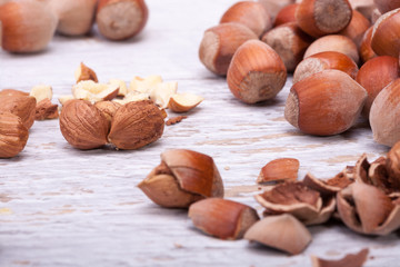 Hazelnuts on white wooden background in studio photo