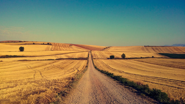 Cammino di Santiago