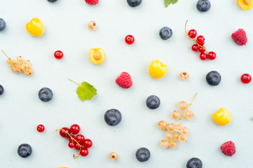 Berries isolated over white background table.