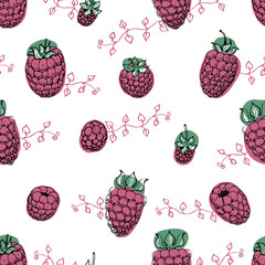 Raspberry Seamless pattern. Hand Drawn cute vector backgrounds for cafe or organic shops.