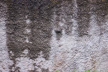 Old concrete texture background for design