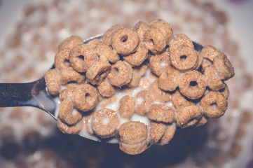 closeup of corn flakes with milk in a spoon
