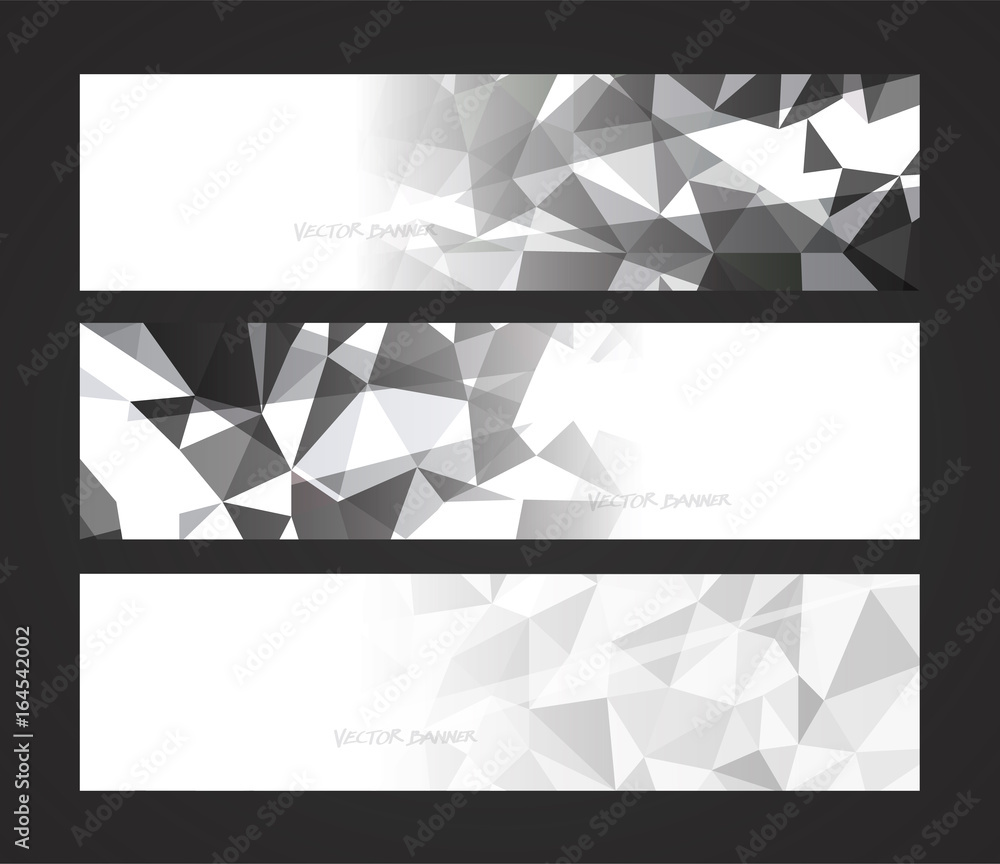 Wall mural a set design of abstract modern vector bright horizontal web banner black and white with shiny polyg