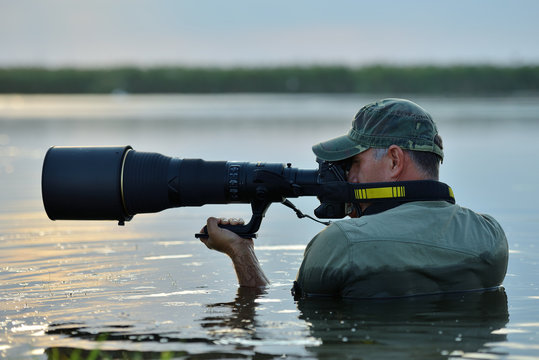 wildlife photographer outdoor, standing in the water