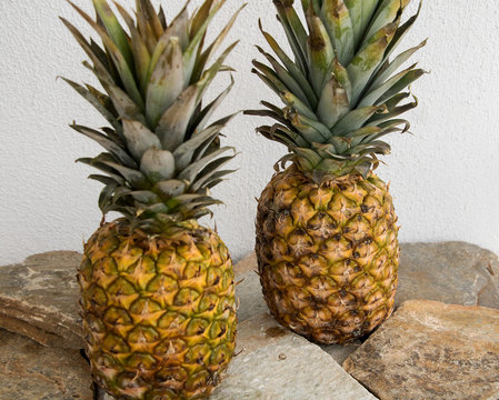 Zwei ananasfrüchte