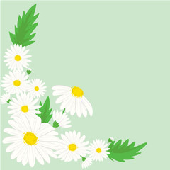 Flower arrangement of daisies. Design of cover for posters, greeting cards, calendars