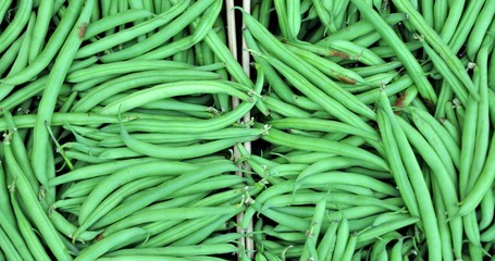 Haricots verts