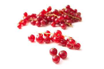 Ribes isolato su fondo bianco