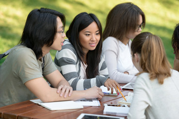 Multiethnic group of happy young students studying