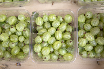 Gooseberry Fruit Background