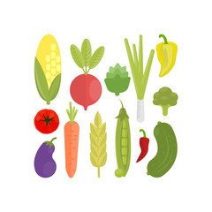 Isolated vegetables set.