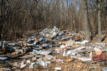Dump. Environmental pollution.