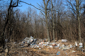 Dump. Environmental pollution.