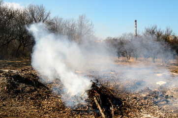 Dump. Environmental pollution.