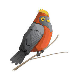 Funny cartoon bird character illustration, vector, EPS10