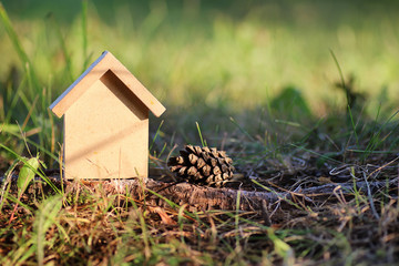 figure house in nature