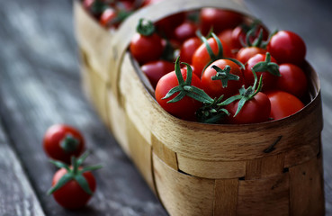 basket harvest fresh tomato