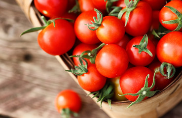 basket harvest fresh tomato