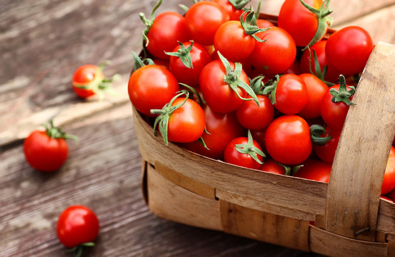 basket harvest fresh tomato