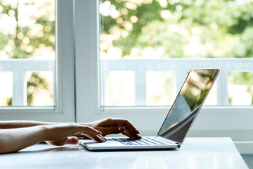 laptop computer female hands typing